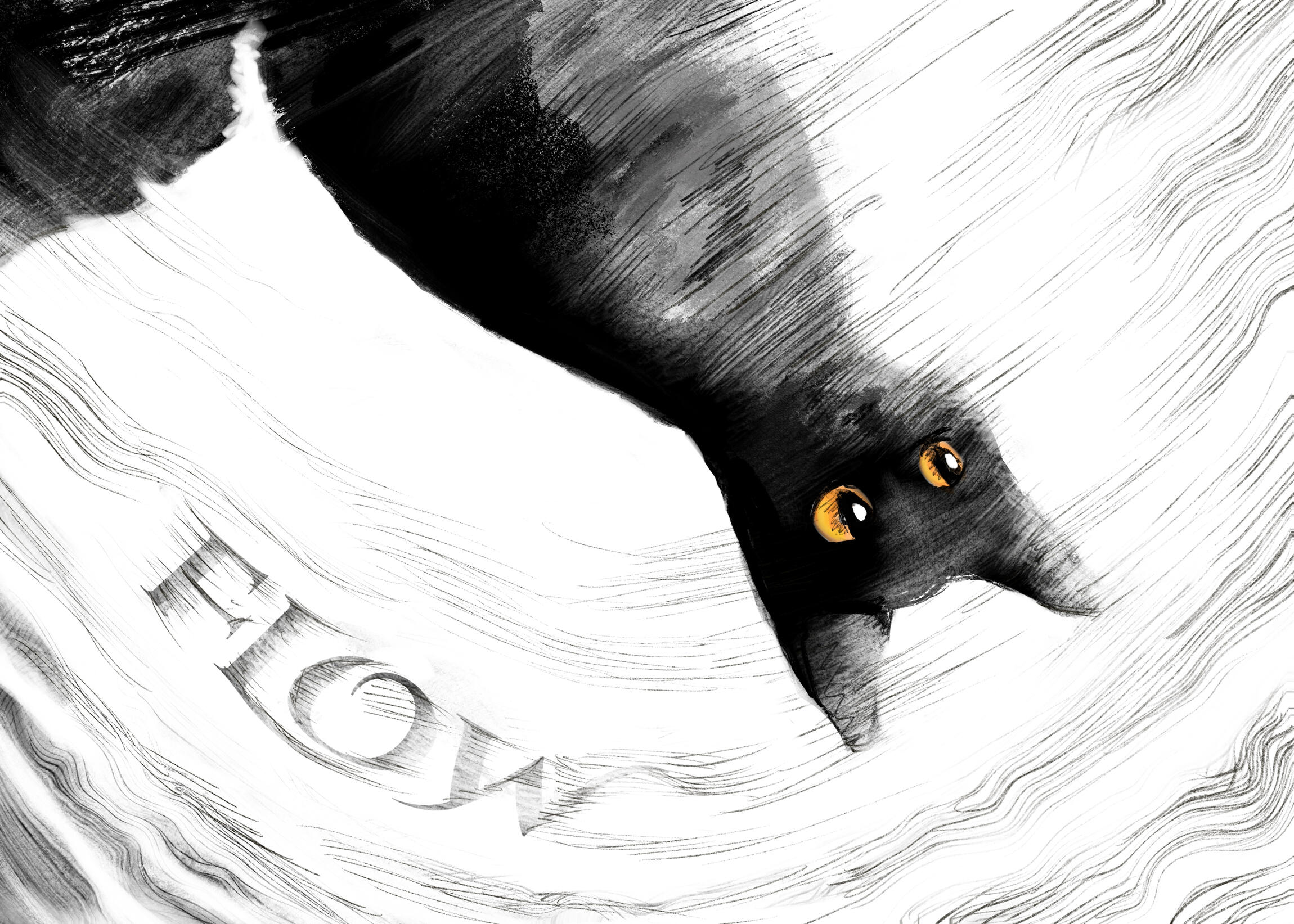 Flow - Illustration